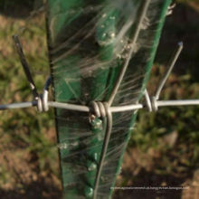 Cerca de campo galvanizado de baixo preço de nó fixo